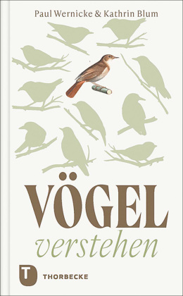 Vögel verstehen 