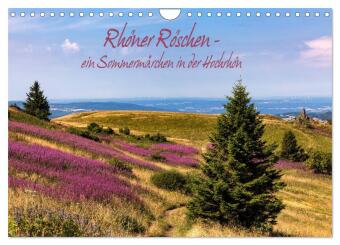 Rhöner Röschen - ein Sommermärchen in der Hochrhön (Wandkalender 2024 DIN A4 quer), CALVENDO Monatskalender 