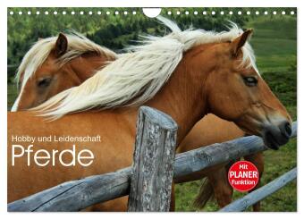 Pferde - Hobby und Leidenschaft (Wandkalender 2024 DIN A4 quer), CALVENDO Monatskalender 