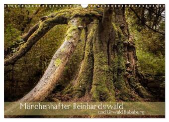 Märchenhafter Reinhardswald und Urwald Sababurg (Wandkalender 2024 DIN A3 quer), CALVENDO Monatskalender 