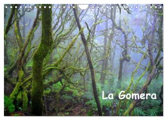 La Gomera (Wandkalender 2024 DIN A4 quer), CALVENDO Monatskalender 