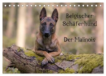 Belgischer Schäferhund - Der Malinois (Tischkalender 2024 DIN A5 quer), CALVENDO Monatskalender 