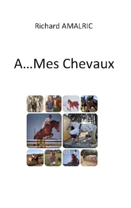 A ... Mes Chevaux 