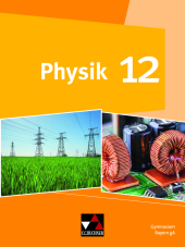 Physik Bayern 12
