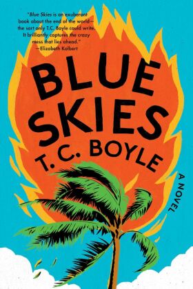 Blue Skies - A Novel