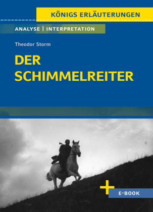 Der Schimmelreiter von Theodor Storm.