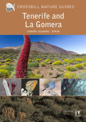 Tenerife and La Gomera