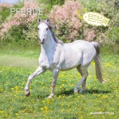 Alpha Edition - Pferde 2025 Broschürenkalender, 30x30cm, Wandkalender mit Platz für Notizen und Termine, beeindruckende