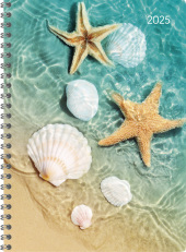 Ladytimer Ringbuch Beach 2025 - Taschen-Kalender A5 (15x21 cm) - Schüler-Kalender - Weekly - Ringbindung - 128 Seiten -