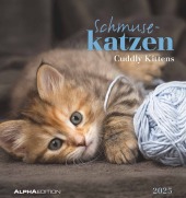 Alpha Edition - Schmusekatzen 2025 Postkartenkalender, 16x17cm, Kalender mit Postkarten zum Heraustrennen, Monatsübersic