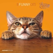 Alpha Edition - Funny Cats 2025 Broschürenkalender, 30x30cm, Wandkalender mit Platz für Notizen und Termine, lustige Kat