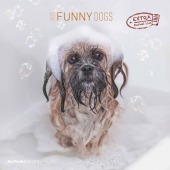 Funny Dogs 2025 - Broschürenkalender 30x30 cm (30x60 geöffnet) - Kalender mit Platz für Notizen - Hunde - Bildkalender -