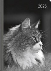 Lady Journal Cat 2025 - Taschenkalender A6 (10,7x15,2 cm) - Weekly - 192 Seiten - Notiz-Buch - Termin-Planer - Alpha Edi