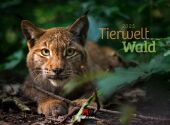 Tierwelt Wald Kalender 2025