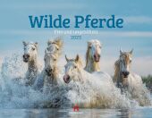 Wilde Pferde Kalender 2025
