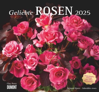 DUMONT - Geliebte Rosen 2025 Wandkalender, 30x30cm, Kalender mit traumhaften Rosensträußen und mit allen wichtigen Feier