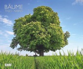 DUMONT - Bäume 2025 Wandkalender, 60x50cm, Fotokunst-Kalender mit Aufnahmen prächtiger Bäume, Abbildungen von Naturschön