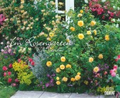 DUMONT - Im Rosengarten 2025 Wandkalender, 52x42,5cm, Garten-Kalender mit eindrucksvollen Rosen-Motiven aus verschiedens
