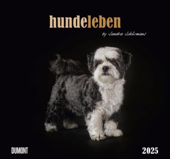DUMONT - Hundeleben 2025 Wandkalender, 38x35,5cm, Foto-Kunst-Kalender mit charmanten Tiermotiven und Zitaten, by Sandra