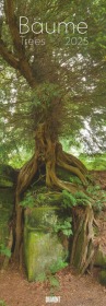 DUMONT - Bäume 2025 Wankalender, 34x98cm, Kalender mit den "grünen Lungen" unserer Erde, zwölf spektakuläre Bilder von B