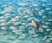 DUMONT - Fischschwärme 2025 Fotokunst-Kalender, 60x50cm, Wandkalender mit bunten Unterwasserwelt-Aufnahmen, schillernde