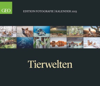 GEO Edition - Tierwelten Wandkalender 2025 - Beeindruckender Kalender für Tierfotografie, Großformat 70x60 cm, mit Einzi