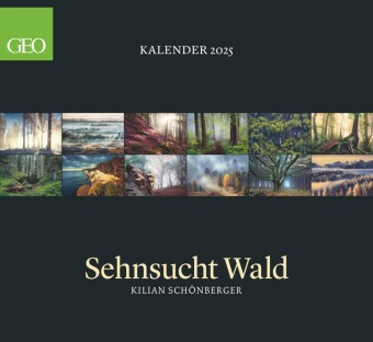 GEO - Sehnsucht Wald Wandkalender 2025 - Eindrucksvoller Waldlandschaften Kalender, Harmonisches Format 60x55 cm, mit Fa