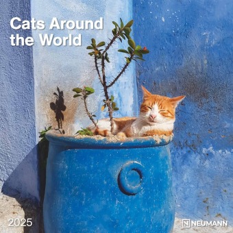 N NEUMANNVERLAGE - Cats Around the World 2025 Broschürenkalender, 30x30cm, Wandkalender mit Katzen-Motiven, internationa