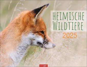 Heimische Wildtiere Kalender 2025