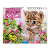 Trötsch Notizkalender Querformat Notizkalender Katzen 2025 mit 12 Postkarten