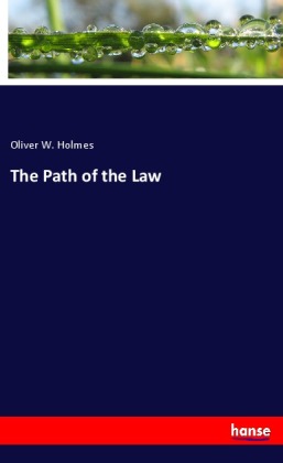 The Path of the Law 