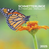 Schmetterlinge 2025