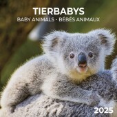 Tierbabys 2025