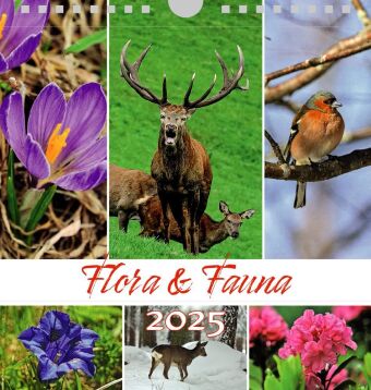 Tiere Blumen 2025, Postkartenkalender Querformat