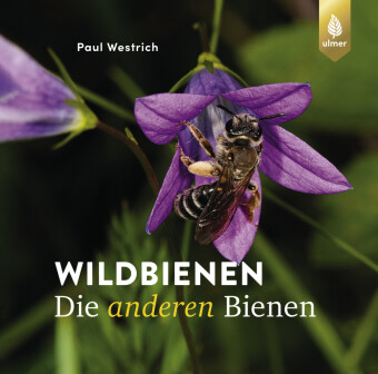 Wildbienen die anderen Bienen