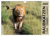 Raubkatzen - Löwe, Gepard, Leopard (Wandkalender 2025 DIN A4 quer), CALVENDO Monatskalender
