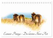 Exmoor Ponnys - Die letzten Ihrer Art (Tischkalender 2025 DIN A5 quer), CALVENDO Monatskalender
