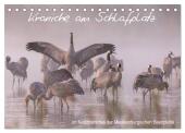 Kraniche am Schlafplatz - im Naturparadies der Mecklenburgischen Seenplatte (Tischkalender 2025 DIN A5 quer), CALVENDO M