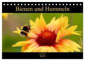 Bienen und Hummeln in Aktion (Tischkalender 2025 DIN A5 quer), CALVENDO Monatskalender