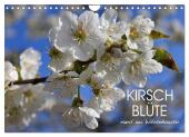 Kirschblüte rund um Witzenhausen (Wandkalender 2025 DIN A4 quer), CALVENDO Monatskalender