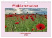 Wildblumenwiese Insektenparadies (Wandkalender 2025 DIN A4 quer), CALVENDO Monatskalender