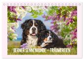 Berner Sennenhunde - Träumereien (Tischkalender 2025 DIN A5 quer), CALVENDO Monatskalender