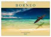 Borneo - Exotische Faszination (Wandkalender 2025 DIN A4 quer), CALVENDO Monatskalender
