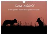 Fuchs entdeckt - im Naturparadies der Mecklenburgischen Seenplatte (Wandkalender 2025 DIN A4 quer), CALVENDO Monatskalen