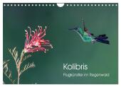 Kolibris - Flugkünstler im Regenwald (Wandkalender 2025 DIN A4 quer), CALVENDO Monatskalender