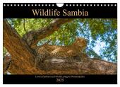 Wildlife Sambia (Wandkalender 2025 DIN A4 quer), CALVENDO Monatskalender