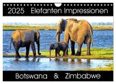 Elefanten Impressionen (Wandkalender 2025 DIN A4 quer), CALVENDO Monatskalender
