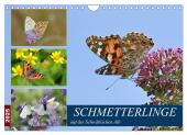 Schmetterlinge auf der Schwäbischen Alb (Wandkalender 2025 DIN A4 quer), CALVENDO Monatskalender