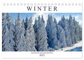 Winter. Zauberhafte Schneelandschaften (Tischkalender 2025 DIN A5 quer), CALVENDO Monatskalender