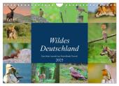Wildes Deutschland (Wandkalender 2025 DIN A4 quer), CALVENDO Monatskalender